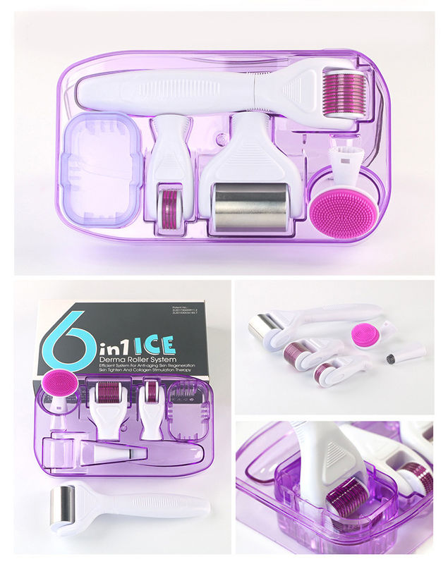 PC profesional de la mano médica ICE Derma Roller desmontable 6 en 1 para el rejuvenecimiento de la piel