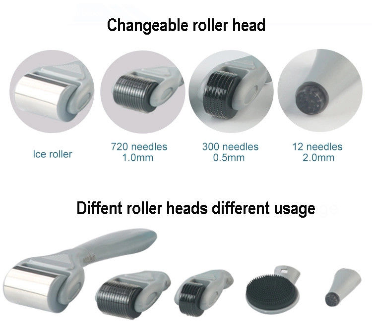 PC profesional de la mano médica ICE Derma Roller desmontable 6 en 1 para el rejuvenecimiento de la piel
