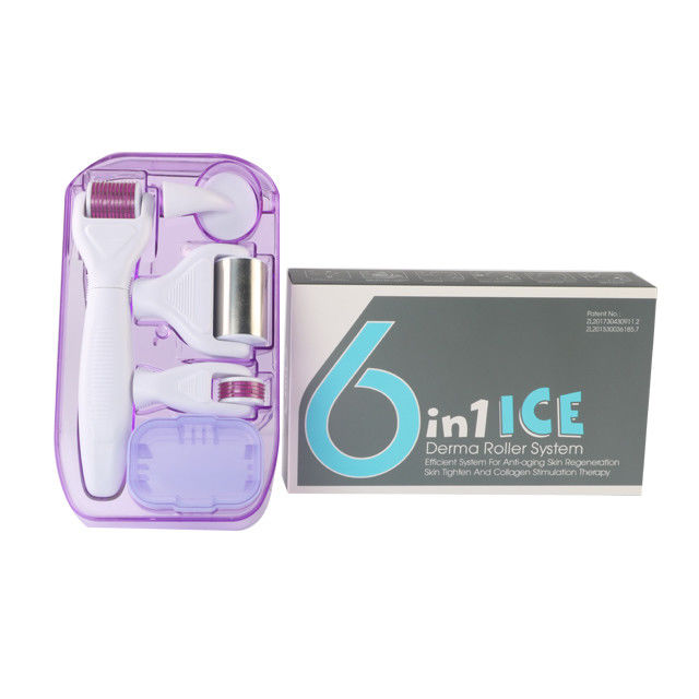 6 en 1 Kit de Derma Roller con Ice Roller para enfriar la piel Cuidado de la piel Estética facial