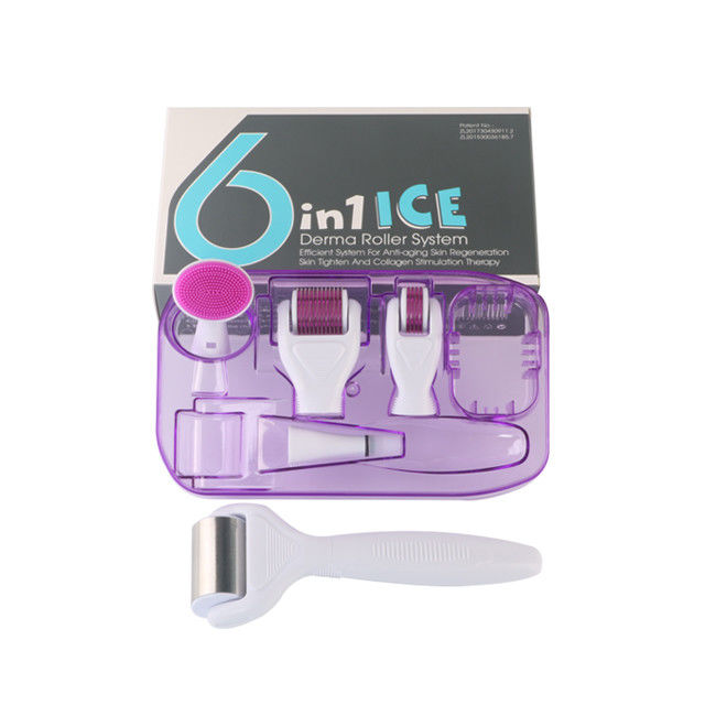 6 en 1 Kit de Derma Roller con Ice Roller para enfriar la piel Cuidado de la piel Estética facial