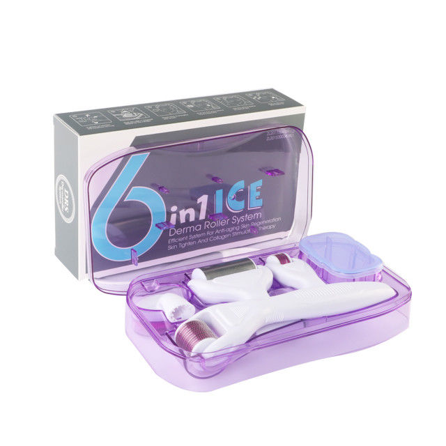 6 en 1 Kit de Derma Roller con Ice Roller para enfriar la piel Cuidado de la piel Estética facial